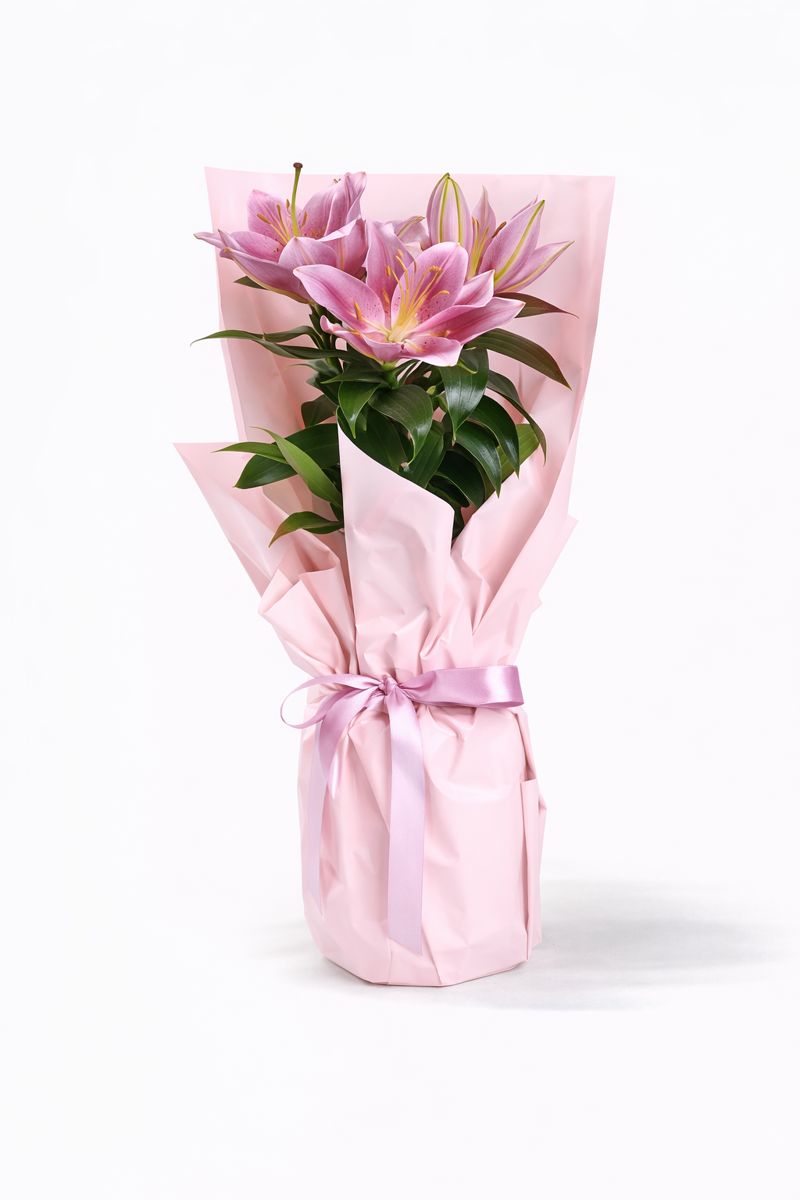 Pembe Lilyum Beylikdüzü aynı gün teslim pembe lilyum buketi zarif çiçek aranjmanı