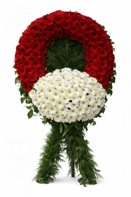 Kırmızı beyaz gerberalardan hazırlanmış cenaze çelengi
